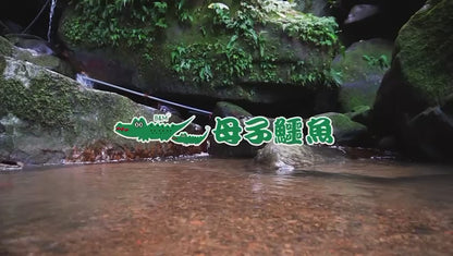 Taiwan B&M 母子鳄鱼 Outdoor explorer shoes BCU 5555